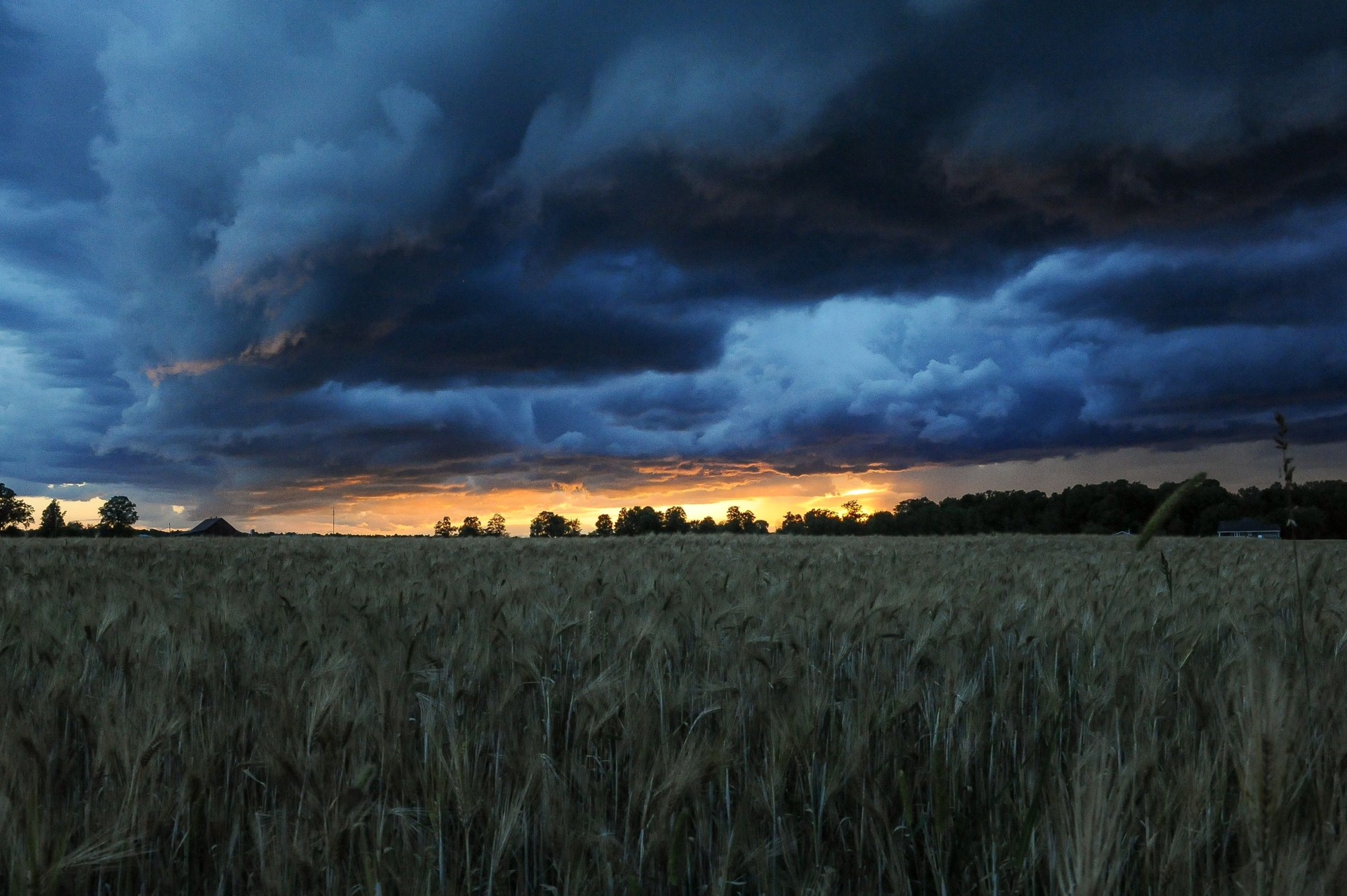 dark clouds over field