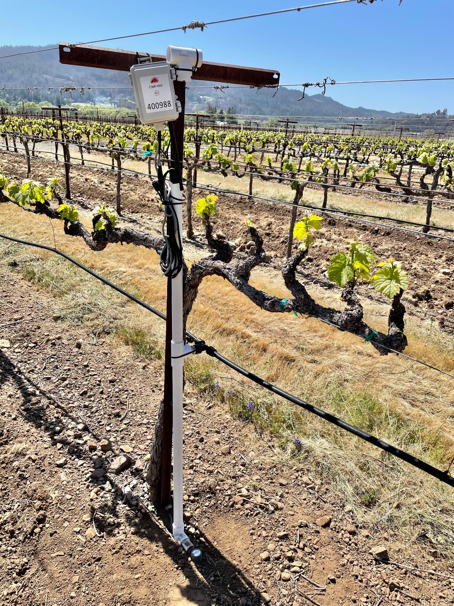 vineyard monitoring telemetry