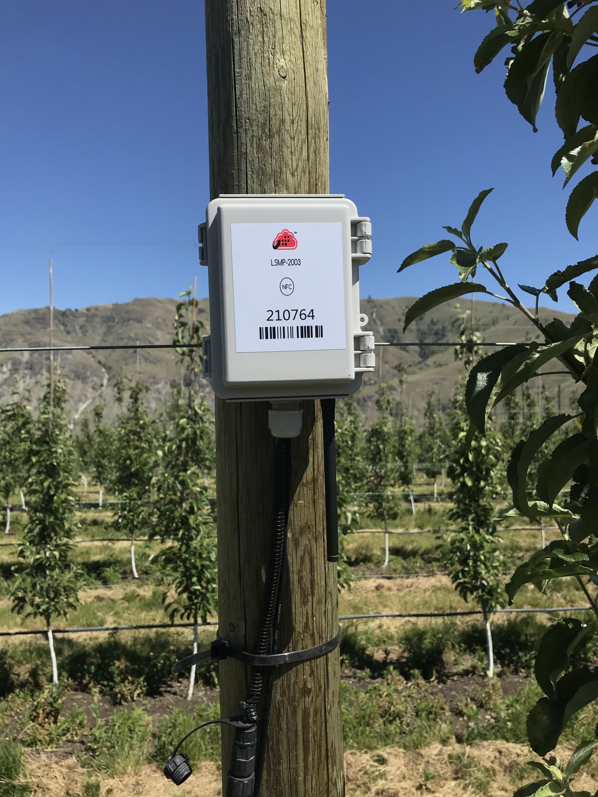 Zenseio orchard monitoring telemetry